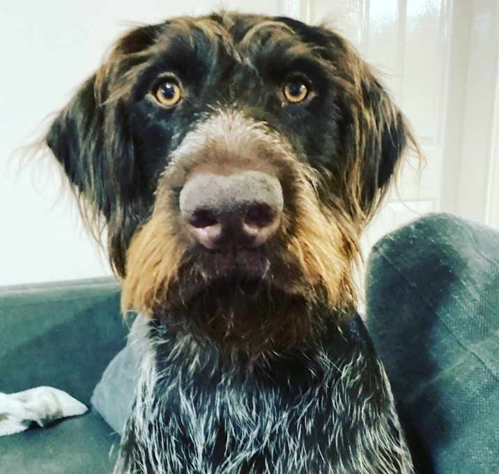 Photo of Molly
