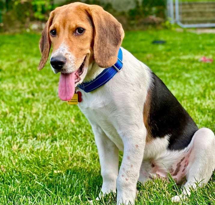 Photo of Ares