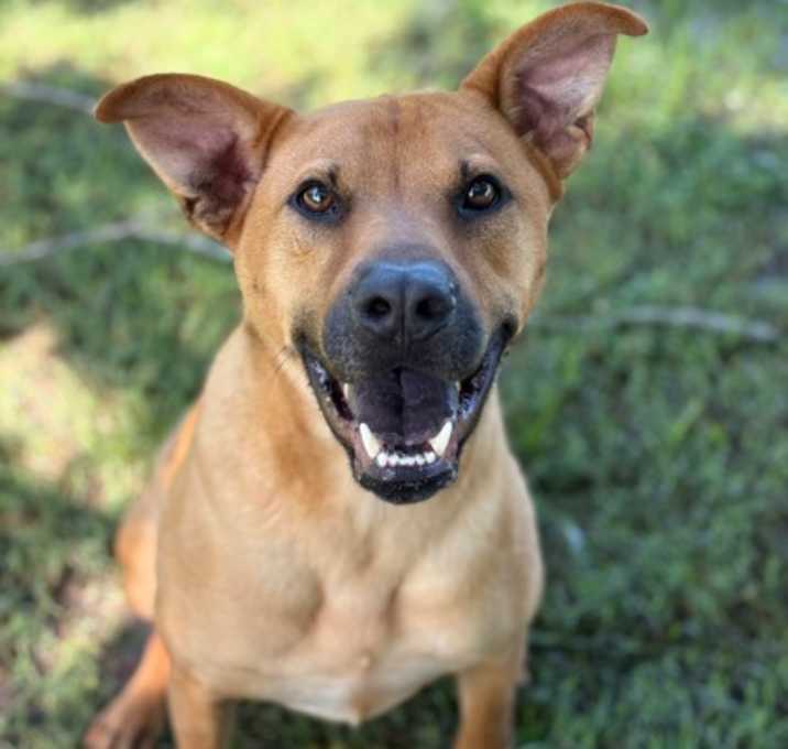 Photo of Sancho
