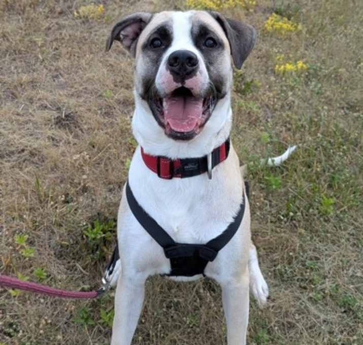 Photo of Barney