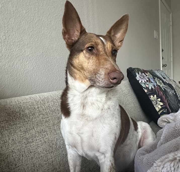 Photo of Hazel