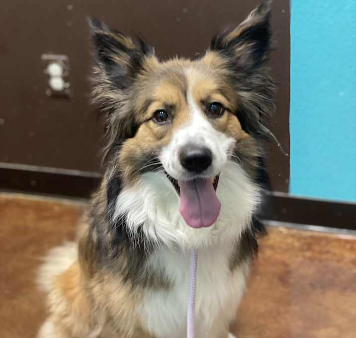 Photo of Tilly