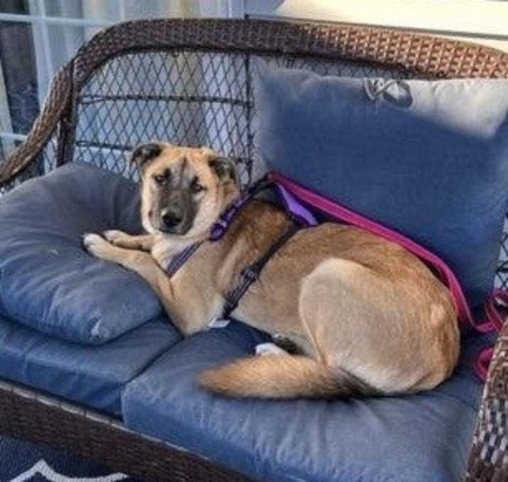 Photo of Fiona