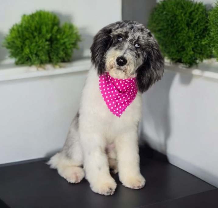 Photo of Nellie