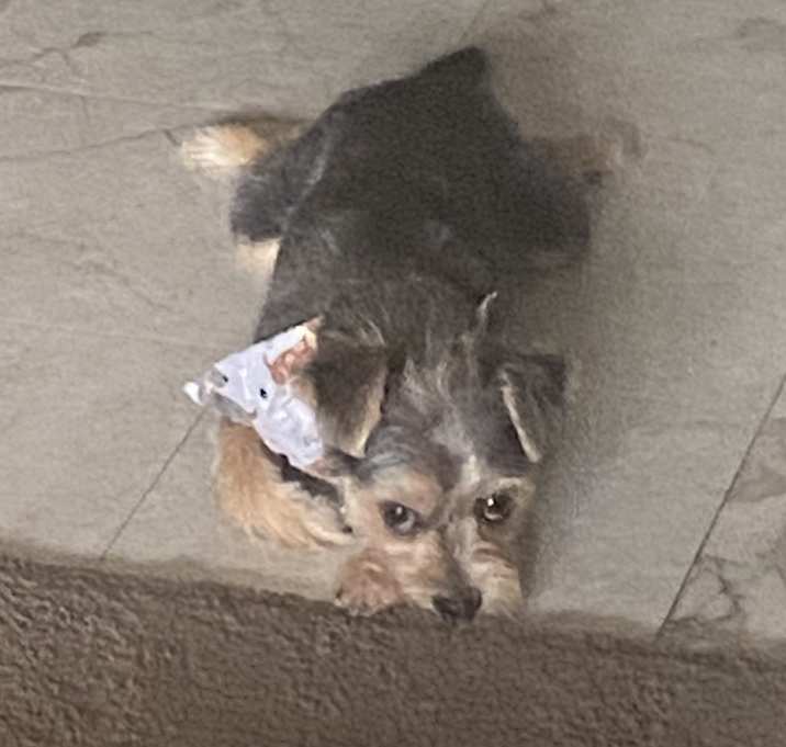 Photo of Kairo