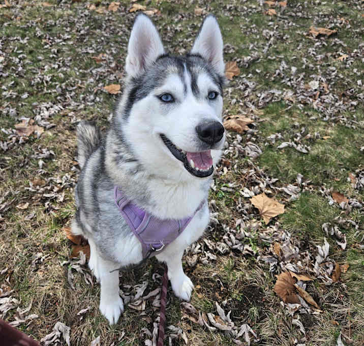 Photo of Gia