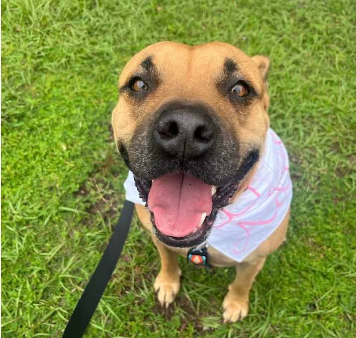 Photo of Sweetie