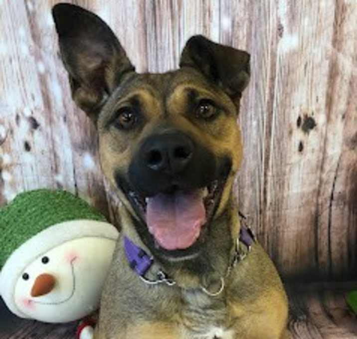 Photo of Nala
