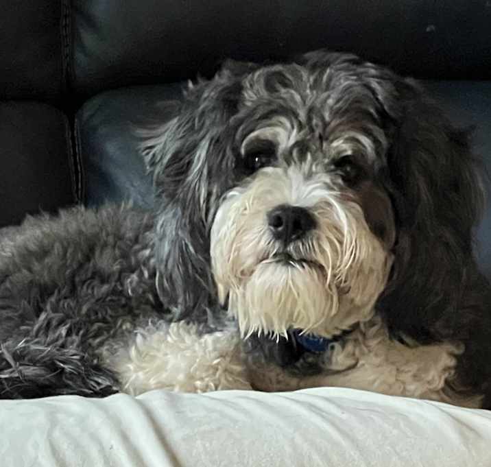 Photo of Bernie