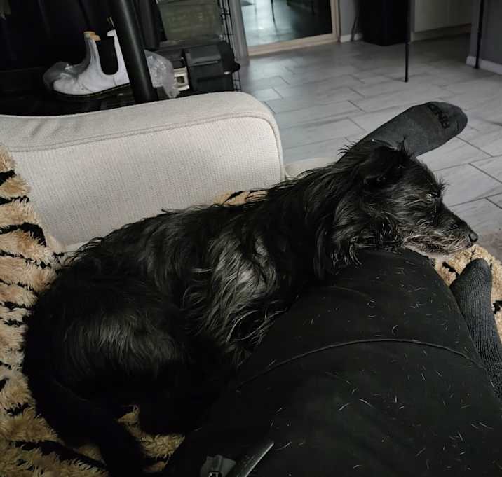 Photo of Romeo