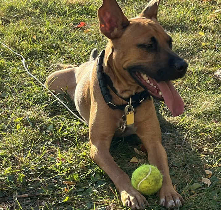 Photo of Max