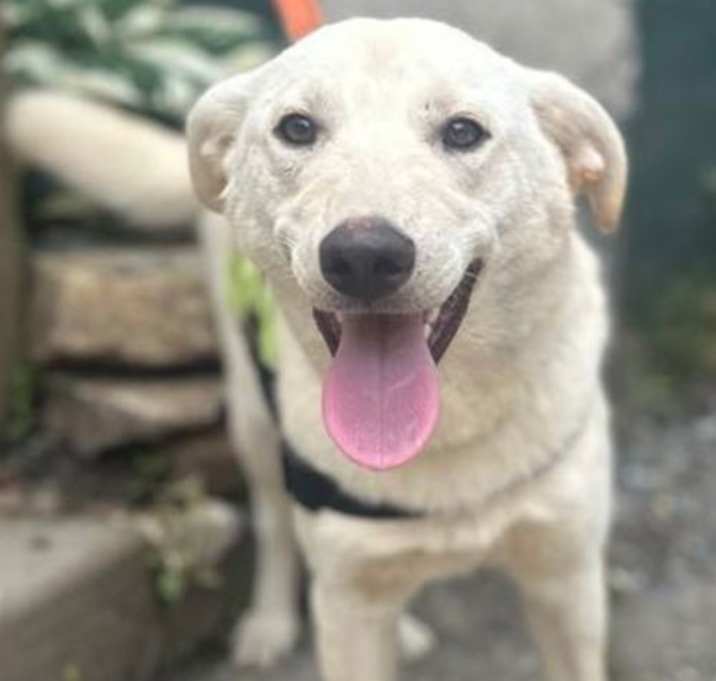 Photo of Susie