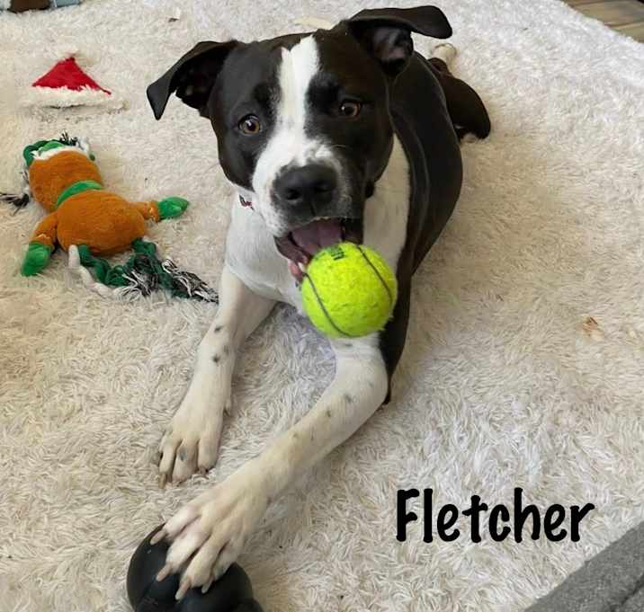 Photo of Fletcher