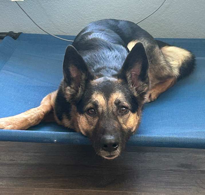 Photo of Lola