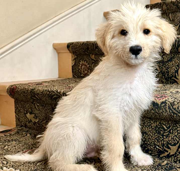 Photo of Duffy