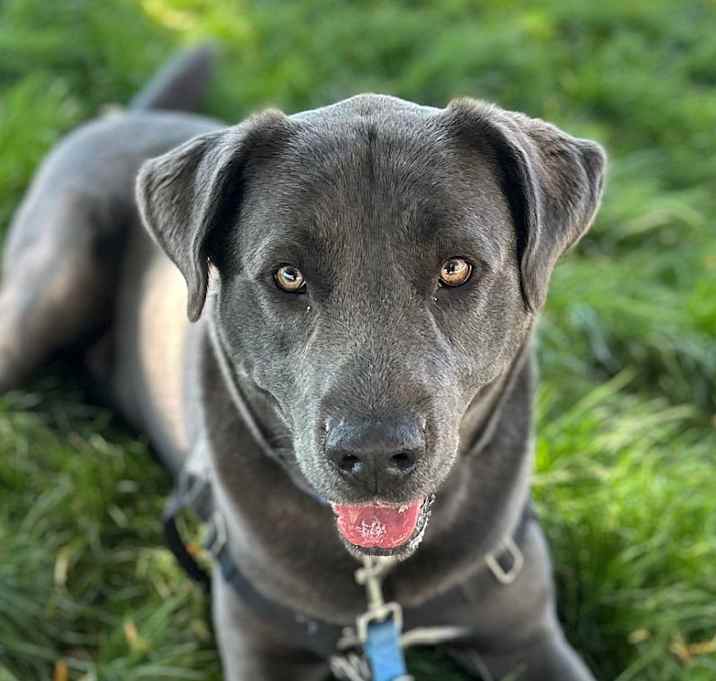 Photo of Bane