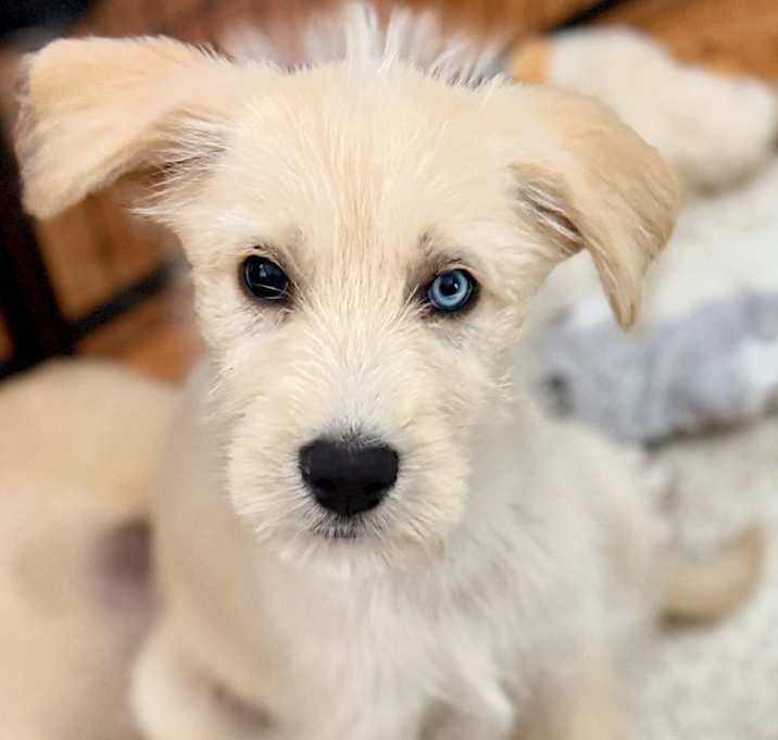 Photo of Darla