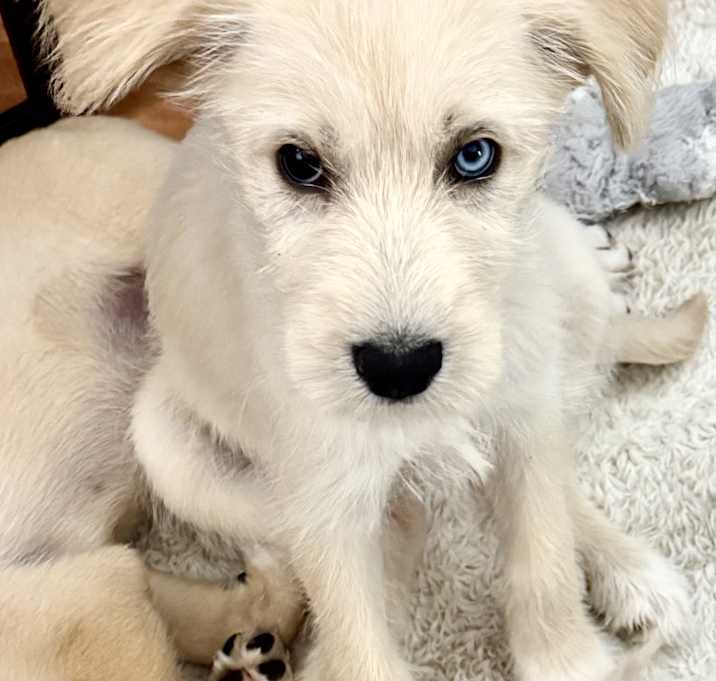 Photo of Darla