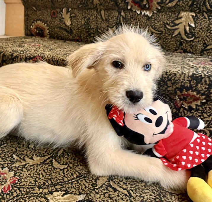 Photo of Darla