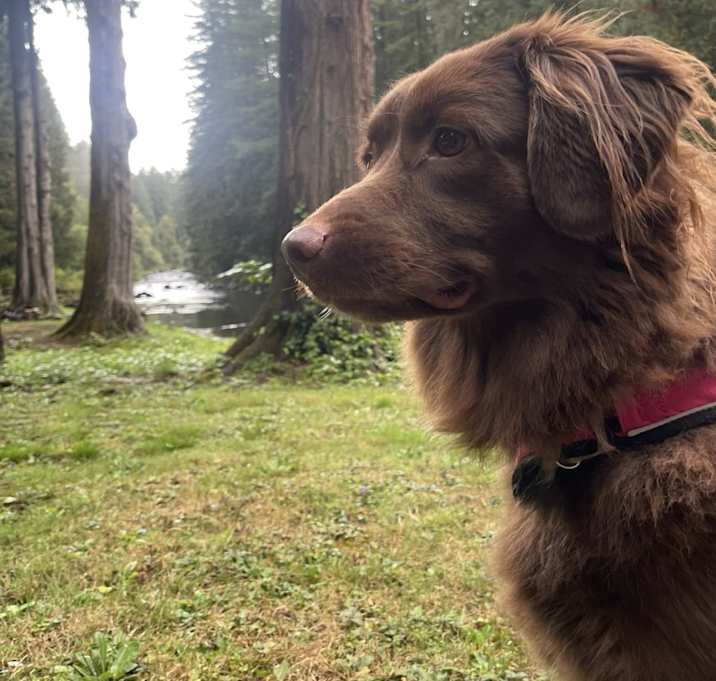 Photo of Nyla Jo
