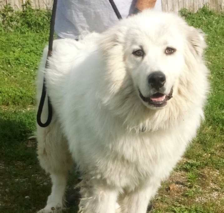 Photo of Murphy