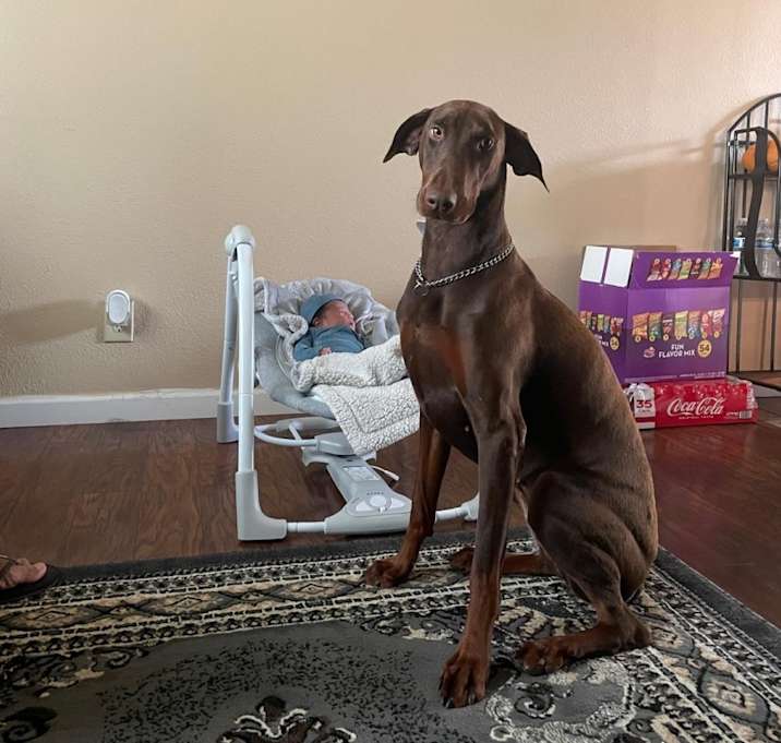 Photo of Bella