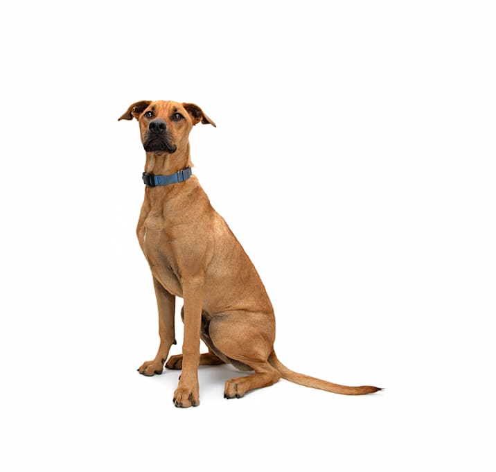 Photo of Manny