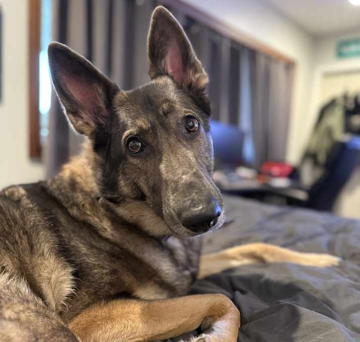 Photo of Sasha