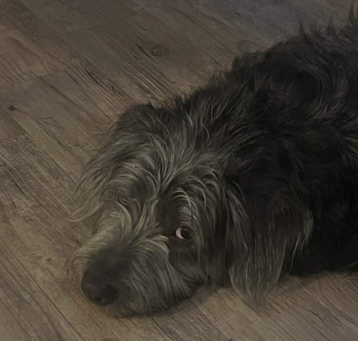 Photo of Astro