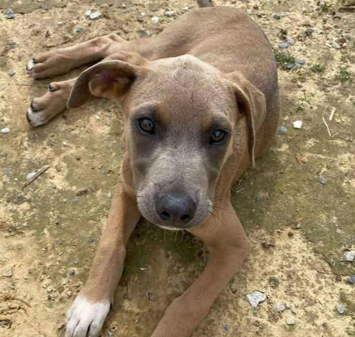 Photo of Mocha
