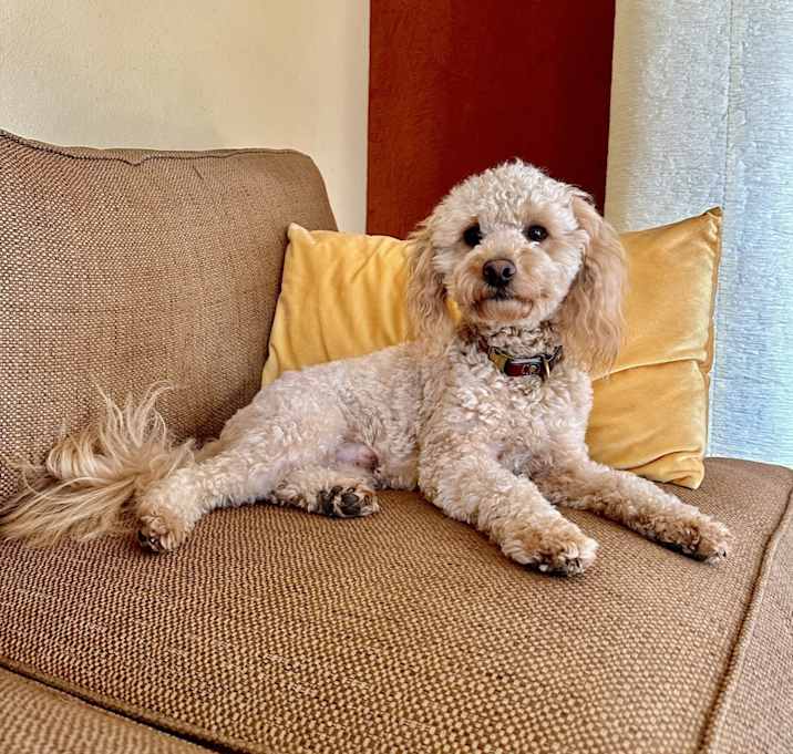 Photo of Charlie