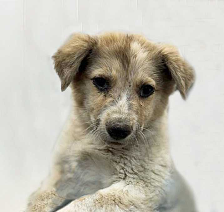Photo of CLOUD*