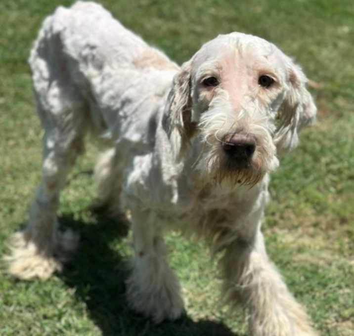 Photo of Colonel