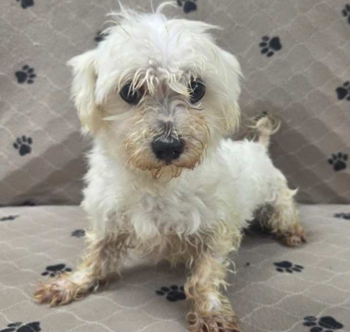 Photo of Missy