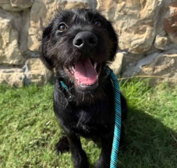 Photo of Benny