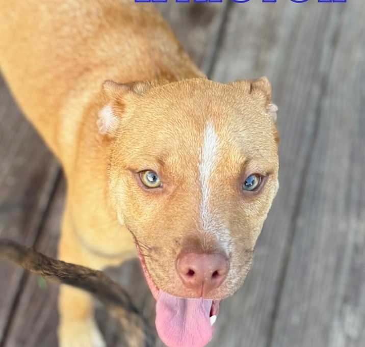 Photo of Winston