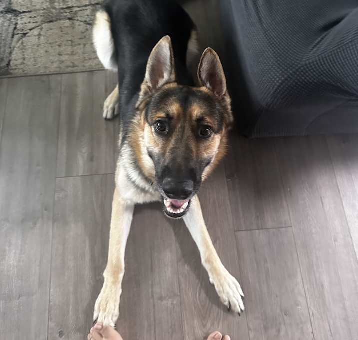 Photo of Zeus