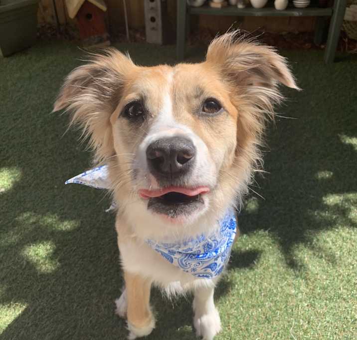 Photo of Penelope