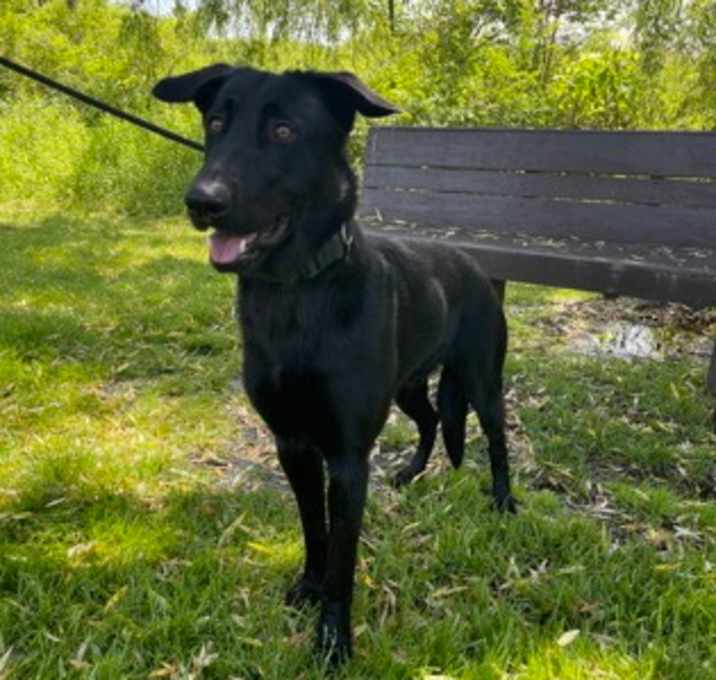 Photo of STORM