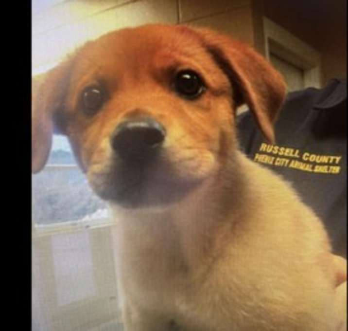 Photo of Nala (GA)