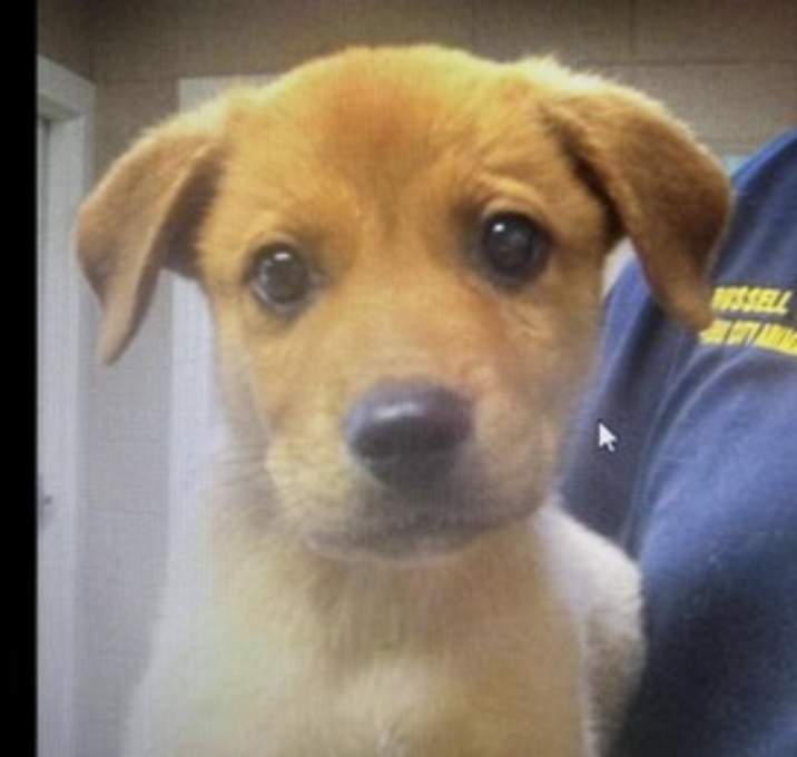 Photo of Molly (GA)