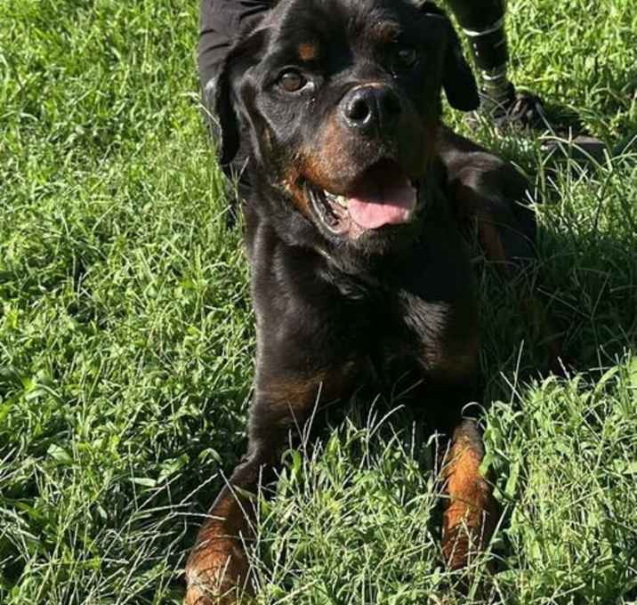 Photo of Theodore (GA)