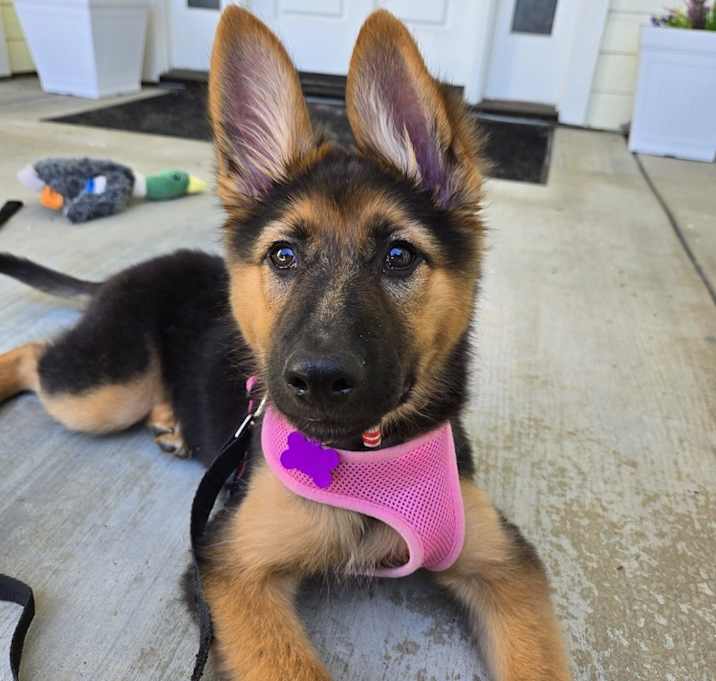 Photo of Fiona
