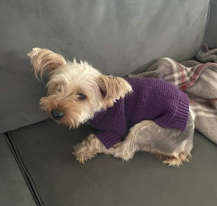 Photo of Penny