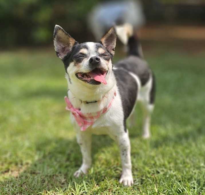 Photo of Vero