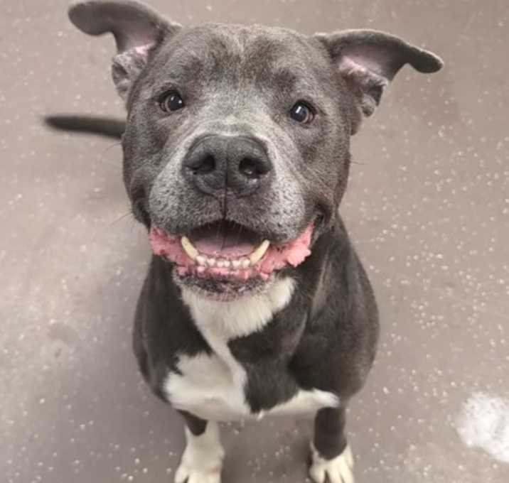 Photo of Capone