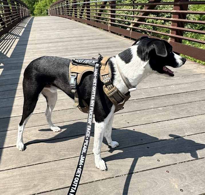 Photo of Jack