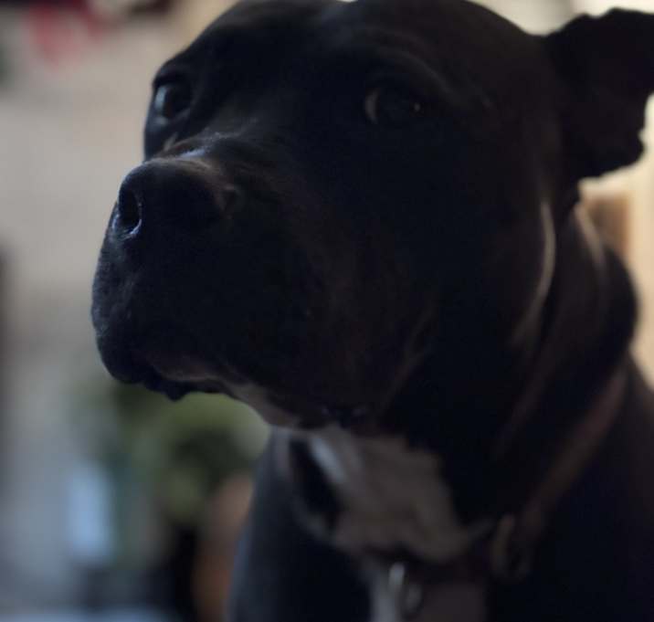 Photo of Lily