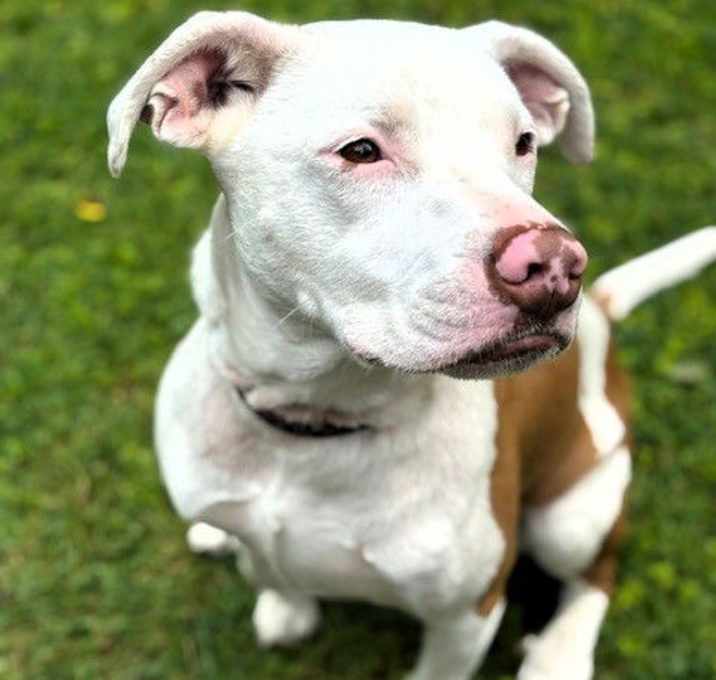 Photo of Coco