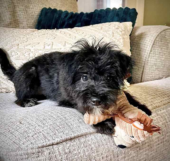 Photo of LUNA